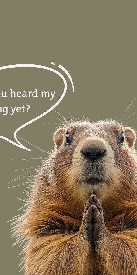 Marmot saying: Have you heard my whistling yet?