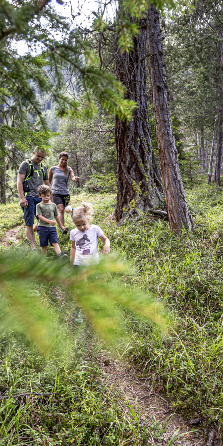 Familie Wandern Wald