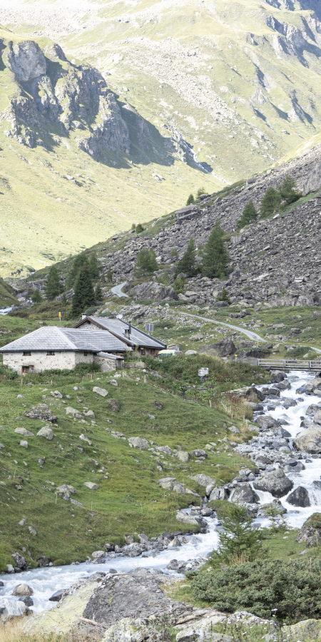 Ziegenalp Valmala in Ardez