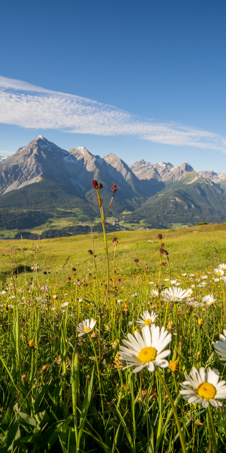 Nationalparkregion Engadin Scuol Zernez