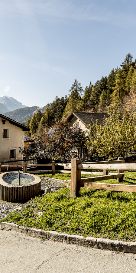 Blick auf Strada-Martina im Unterengadin mit Brunnen, Holzzaun und traditionellen Häusern am Dorfrand. Dahinter liegen bewaldete Berghänge und die Alpen unter klarem Himmel.