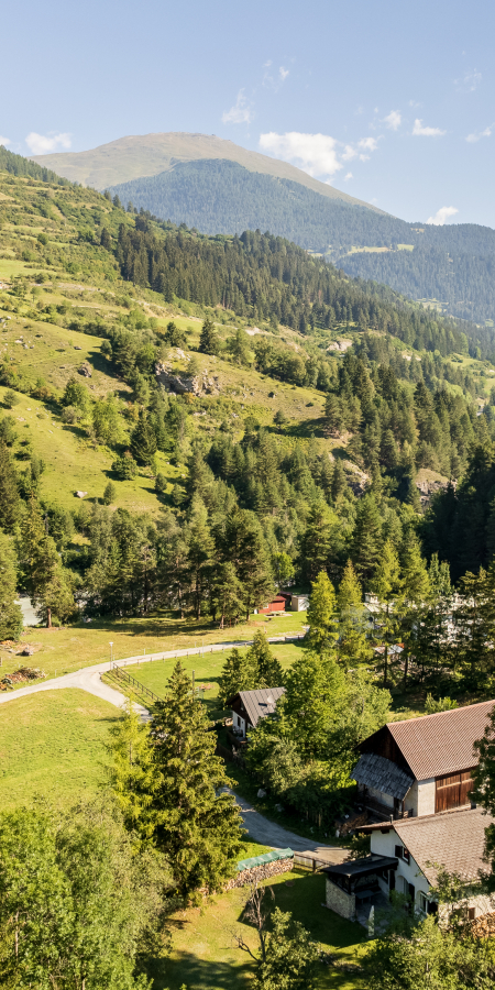 Blick auf Sur En im Unterengadin mit einzelnen Häusern und Höfen in einer grünen Tal­landschaft. Umgeben von Wiesen, Nadelwäldern und sanften Berghängen unter blauem Himmel.