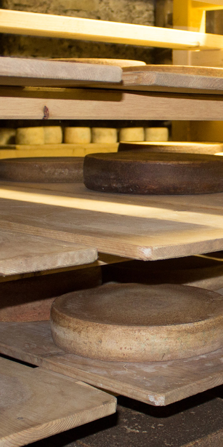 Geschmackvoller Bergkäse Geschmackvoller Bergkäse