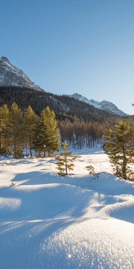 Winterwandern im Engadin - Erholung für Körper und Geist.