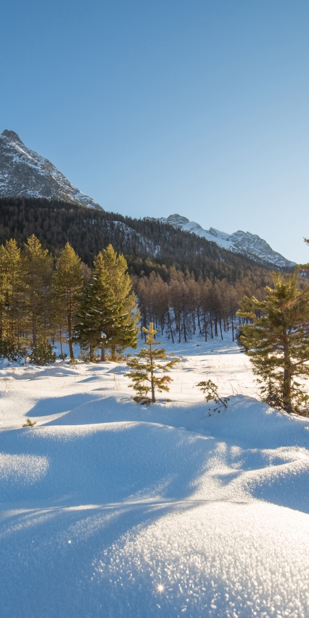 Winterwandern im Engadin - Erholung für Körper und Geist. Winterwandern im Engadin - Erholung für Körper und Geist.