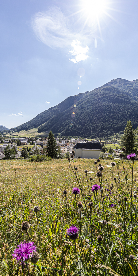 Dreiländerfahrt ab Zernez