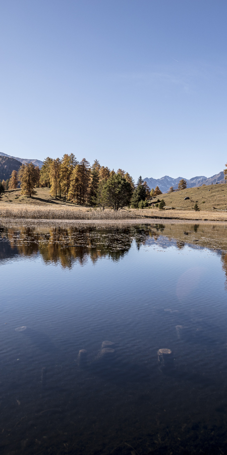 Herbst im Unterengadin am Lai Nair oberhalb von Tarasp.