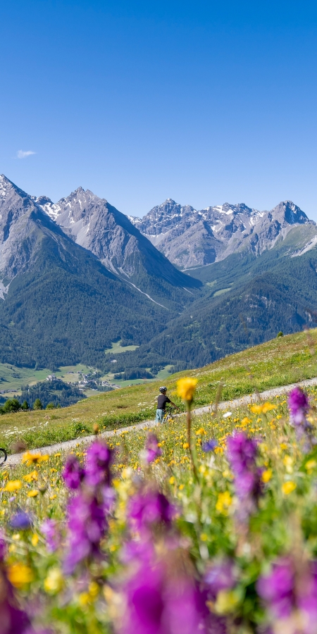 Familienferien in Engadin Scuol Zernez: Mit dem Trottinett hinab ins Tal. Bild: Dominik Täuber.