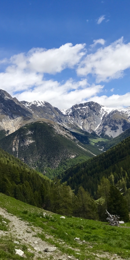 Wanderung zum Mot Tavrü in Engadin Scuol Zernez