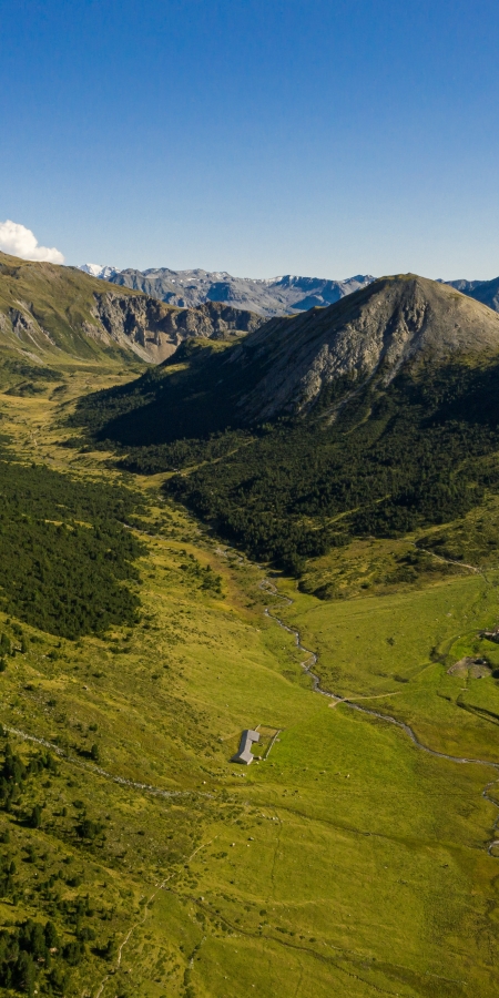 God Tamangur – Arvenwald – Engadin Scuol Zernez – Dominik Täuber God Tamangur – Arvenwald – Engadin Scuol Zernez – Dominik Täuber