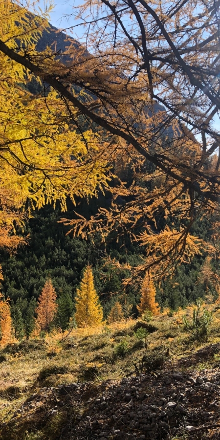 Herbstwanderung_Val_Plavna_Unterengadin Herbstwanderung_Val_Plavna_Unterengadin