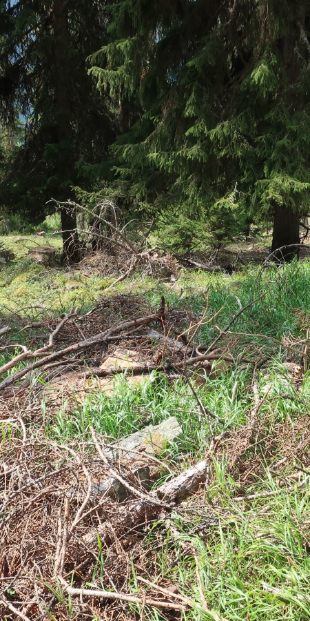 NaturAktiv-Tage im Unterengadin. NaturAktiv-Tage im Unterengadin.