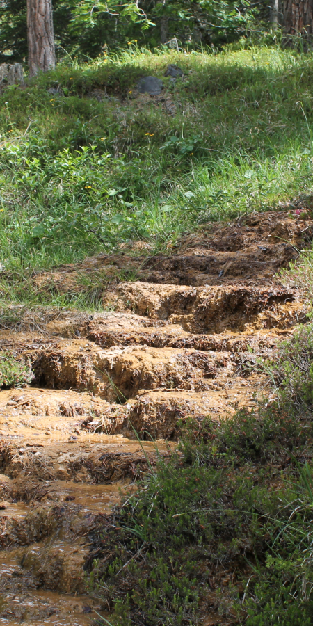 Treppenartiger Quelltuff der San Jon Dadaint Quelle – Mineralwasserweg Scuol Treppenartiger Quelltuff der San Jon Dadaint Quelle – Mineralwasserweg Scuol