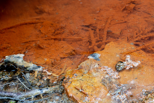 Mineralwasser der Fuschna-Quelle im Engadin © Dominik Täuber Mineralwasser der Fuschna-Quelle im Engadin © Dominik Täuber