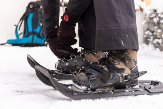 Schneeschuhe