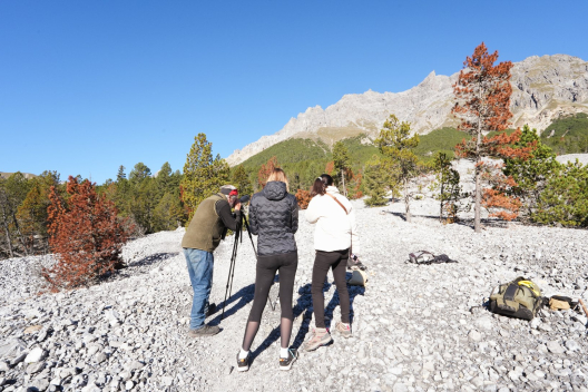 Hirschbrunft im Val Mingèr.