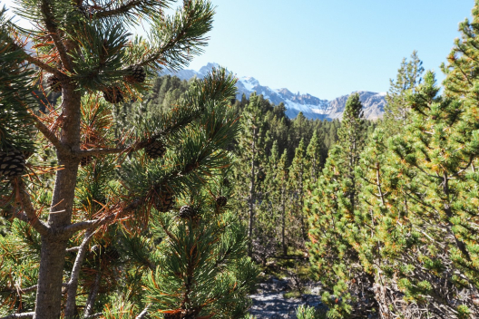 Unterwegs ins Val Mingèr.