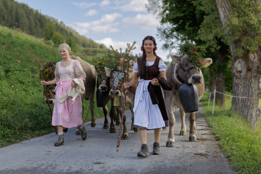 Jana und Ayuna (links im Bild) beim Alpabzug kurz vor Sent.