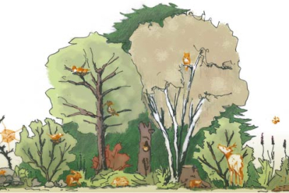 Zeichnung einer Hecke – Fundaziun Pro Terra Engiadina Zeichnung einer Hecke – Fundaziun Pro Terra Engiadina