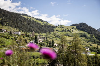Heckenlandschaft bei Ramosch – Engadin Scuol Zernez – Andrea Badrutt Heckenlandschaft bei Ramosch – Engadin Scuol Zernez – Andrea Badrutt