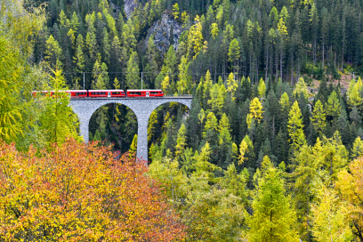 Gewinner des Herbst-Fotowettbewerb Gewinner des Herbst-Fotowettbewerb