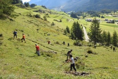 NatürActiva_fundaziun_pro_terra_engiadina