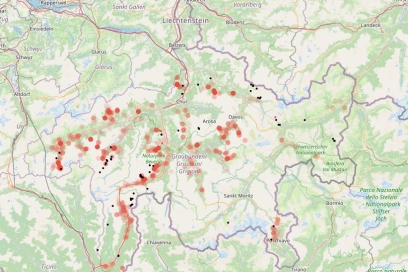 Grossraubtierbeobachtung