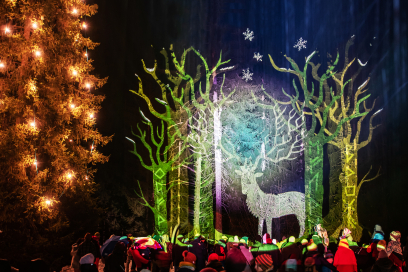 Baumprojektion Faszinaziun Lichterwald