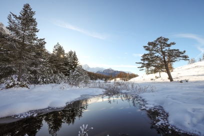 Lai Nair Winter Lai Nair Winter