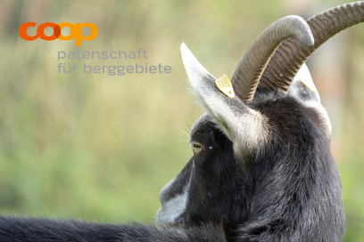 Cooppatenschaft