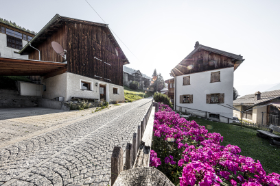 Dorfgasse in Ramosch im Unterengadin mit traditionellen Häusern entlang einer gepflasterten Strasse. Im Vordergrund blühen pinke Blumen entlang eines Zauns, im Hintergrund liegen weitere Häuser und bewaldete Berghänge.