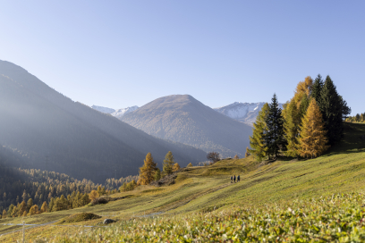 Sommer-und Herbstprogramm