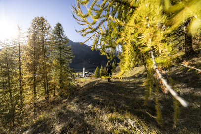 Herbst Wandern