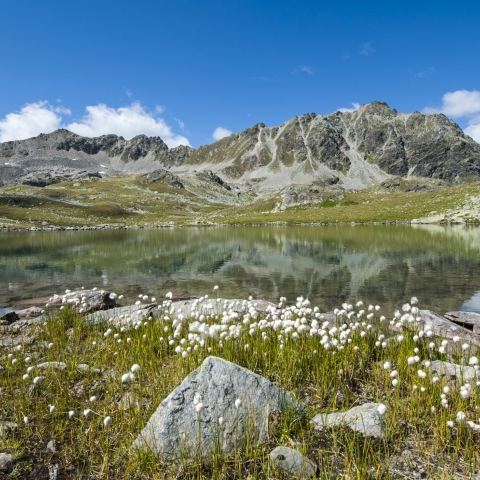 Wanderung zu den Macunseen im Schweizerischen Nationalpark.