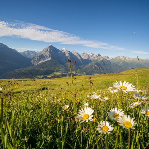 Aussicht von Motta Naluns