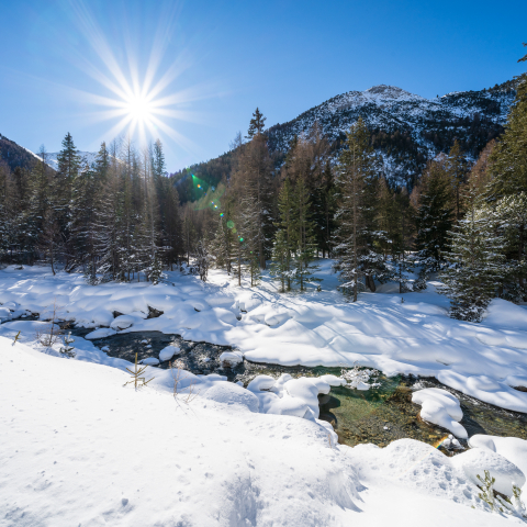 Winter im romantischen Val S-charl. Foto: Dominik Täuber Winter im romantischen Val S-charl.