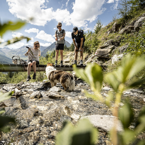 Die Tagesetappen verlaufen abwechslungsreich durch die Natur. Ihr Gepäck wird transportiert. Die Tagesetappen verlaufen abwechslungsreich durch die Natur. Ihr Gepäck wird transportiert.