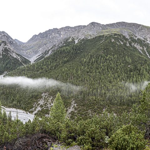 Unberührte Natur rund um die Chamanna Cluozza. Foto: Andrea Badrutt Unberührte Natur rund um die Chamanna Cluozza.