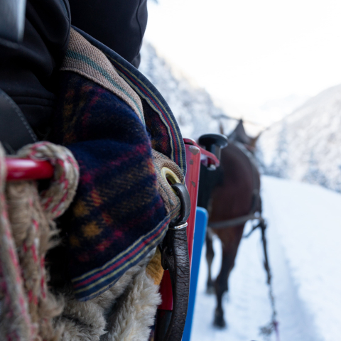 Wintererlebnisse im Engadin Wintererlebnisse im Engadin ©Thalia Wünsche