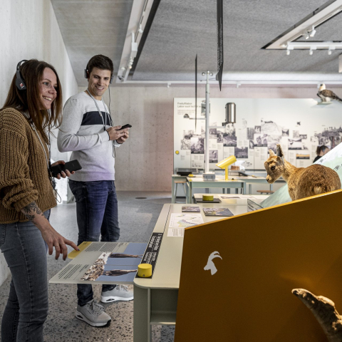 Die Ausstellung im Nationalparkzentrum in Zernez.