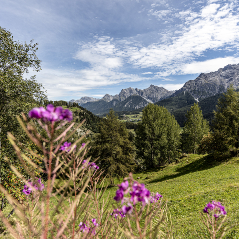 Ferien im Engadin. Ferien im Engadin.