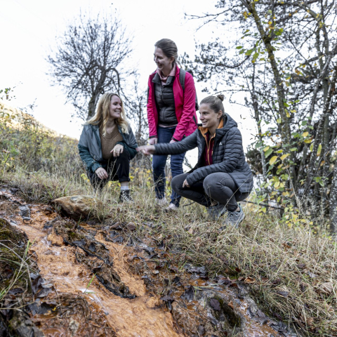 Mineralquellenweg