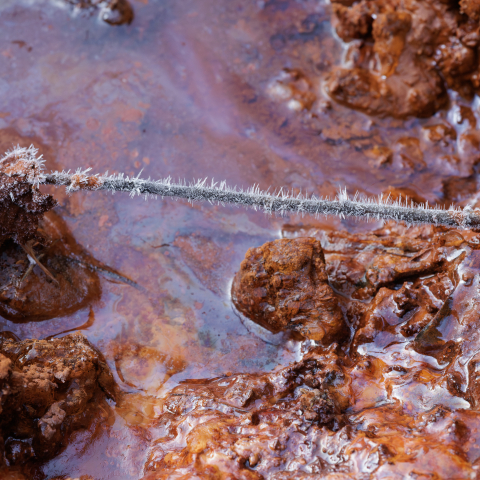 Mineralquelle von Scuol im Engadin