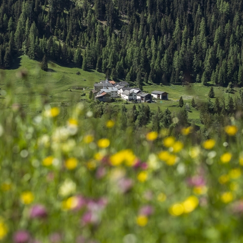 Sur En d'Ardez im Unterengadin