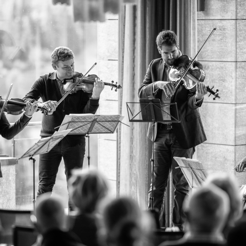 Musische Untermalung am Stradivarifest Musische Untermalung am Stradivarifest