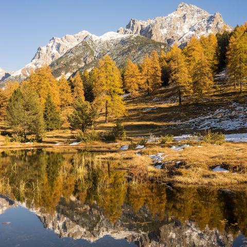 Der Herbst am kleinen Bergsee Lai Nair, oberhalb von Tarasp, im Unterengadin. Bild: Dominik Täuber Der Herbst am kleinen Bergsee Lai Nair, oberhalb von Tarasp, im Unterengadin. Bild: Dominik Täuber
