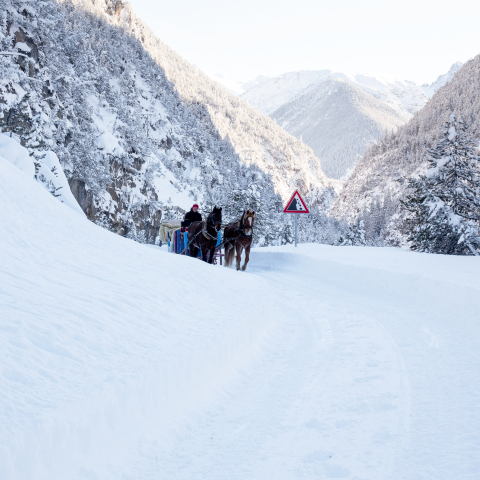 Pferdeschlittenfahrt nach S-charl – ©Thalia Wünsche, Chur