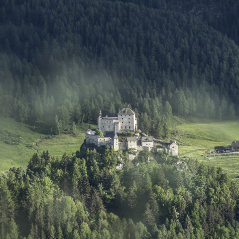 The castle Tarasp is the landmark of the Lower Engadin.