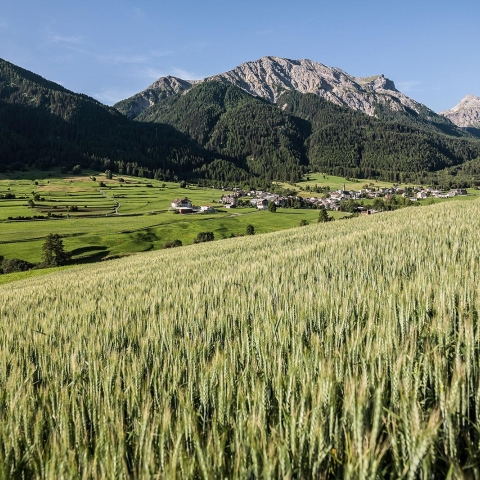 Jakobsweg Graubünden im Val Müstair Jakobsweg Graubünden im Val Müstair
