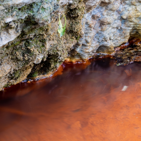 Mineralwasser der Fuschna-Quelle – Mineralwasserwege Scuol – Dominik Täuber Mineralwasser der Fuschna-Quelle – Mineralwasserwege Scuol – Dominik Täuber
